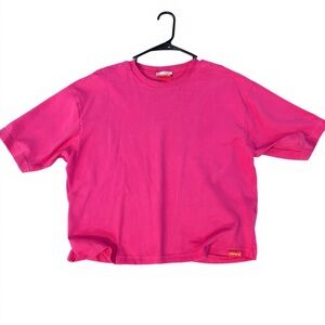 Pink Zara / The Standard Collab Cropped TShirt